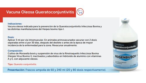Vacuna Oleosa Queratoconjuntivitis ROSENBUSCH